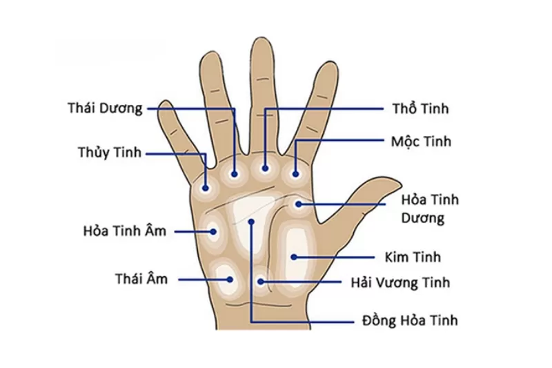 Vị trí và ý nghĩa của gò mộc tinh