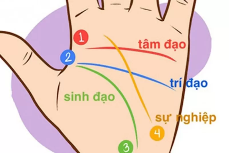 Bàn tay không có đường tình duyên: Hiện tượng hiếm gặp